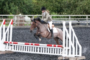 Class 4 - Fences 2'3 to 2'6